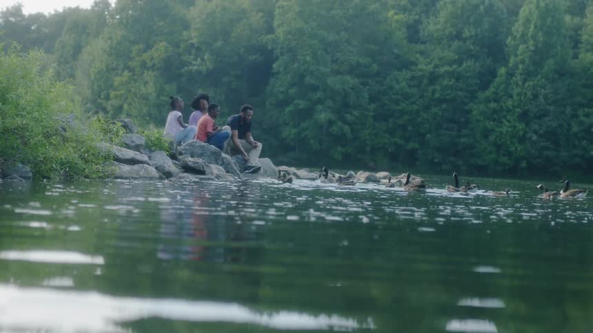 A family of four feeding canada geese in a river at a park