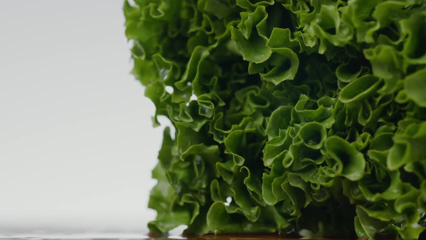 Lettuce sitting on a counter