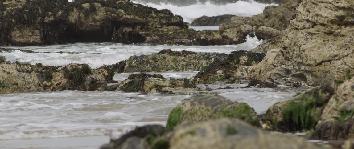 Ocean waves crash into a rocky shore