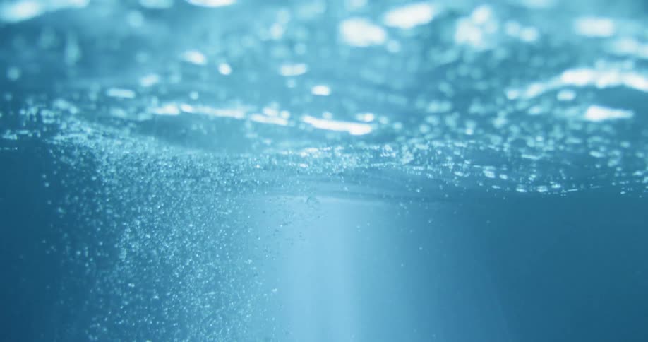 Bubbles float beneath the surface of an ocean