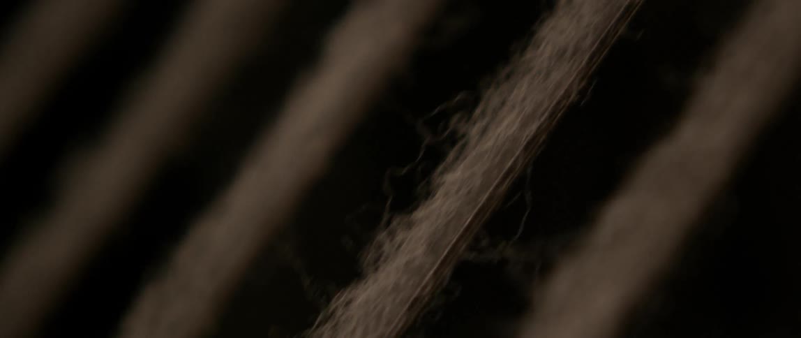 A row of fiber moving on a conveyor belt