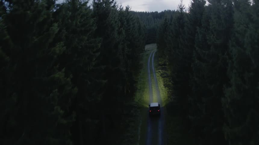 A vehicle driving down a pine tree surrounded road during dusk