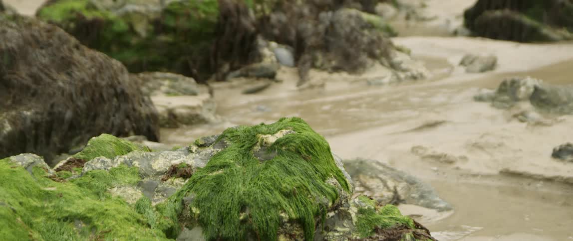 Steaming water in a river near rocks and moss