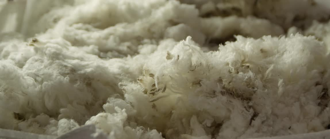 Wool is sheared into a pile