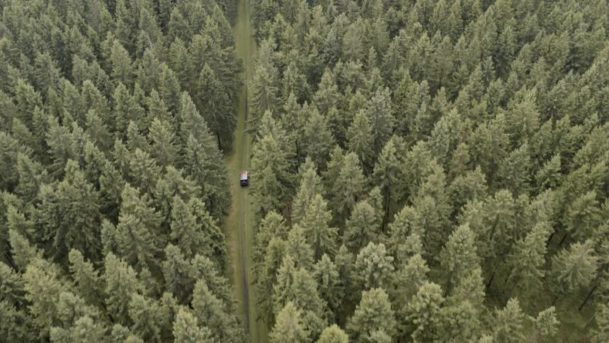 An aerial view of a vehicle going through a forest road