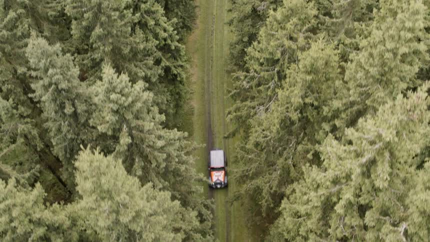 A car driving on a road in the forest
