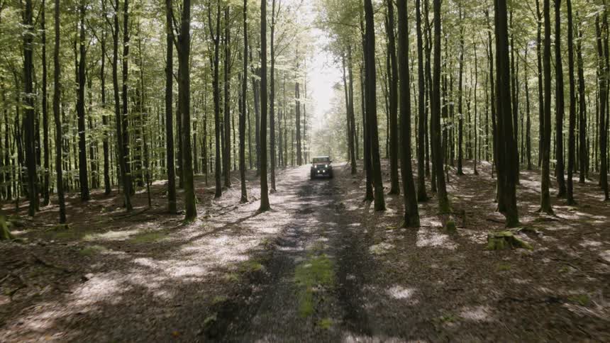 A jeep racing down a path surrounded by tall trees