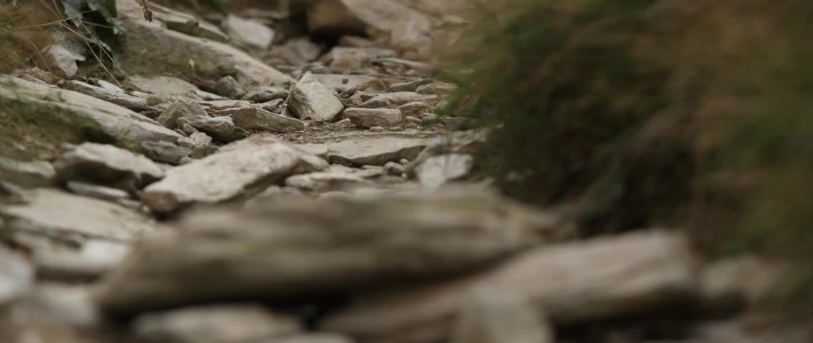 Rocks tumble down a hillside