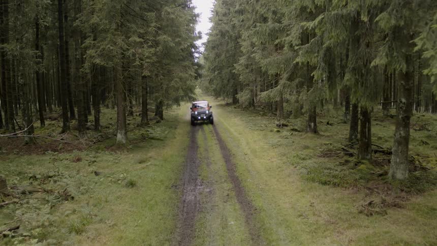 A jeep drives through a forest