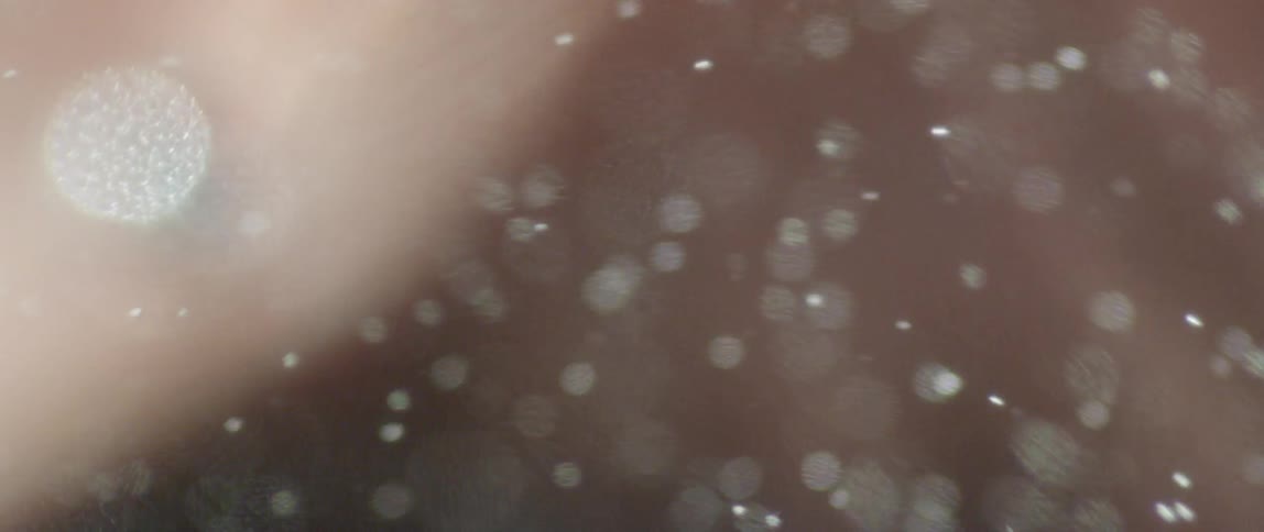The small bubbles float around in the dark liquid