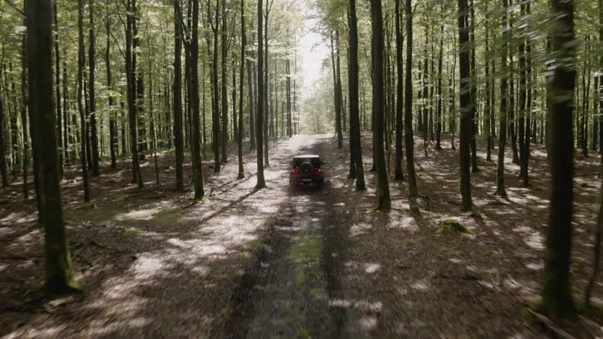 Jeep drives on a path through the woods on a sunny day