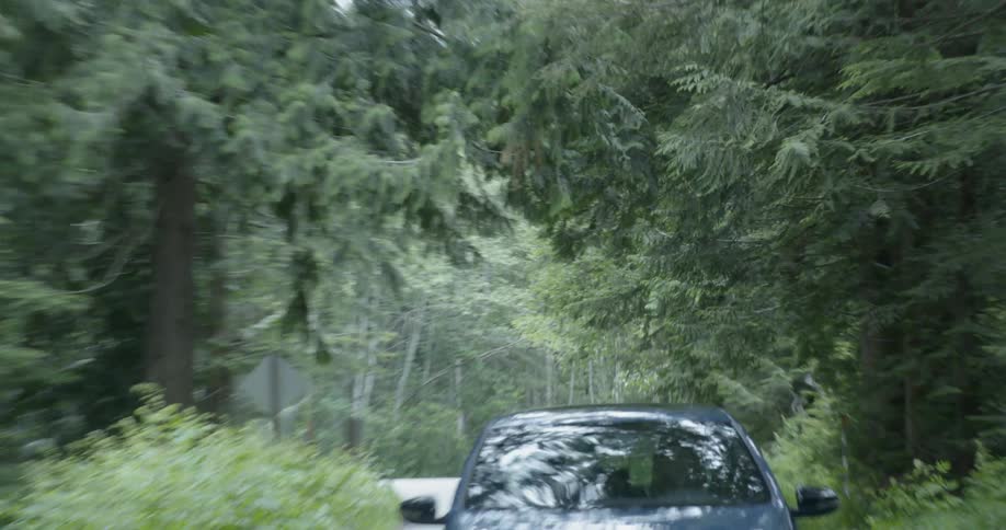 A car driving on a road in the forest