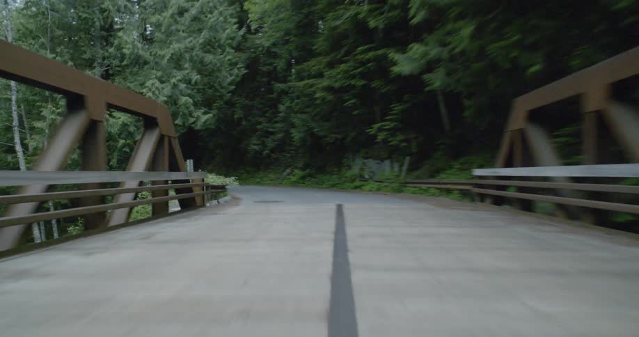 Diving through a forest road on reverse