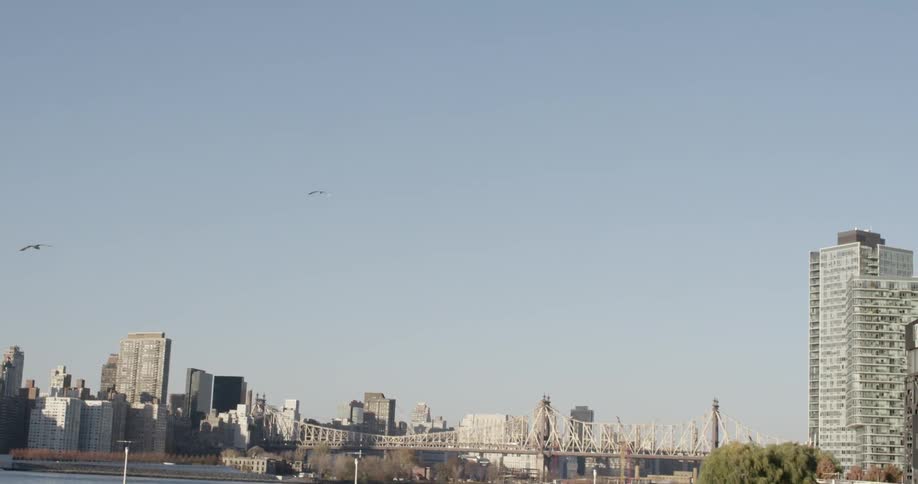 View of skyscrapers in a city on a sunny day