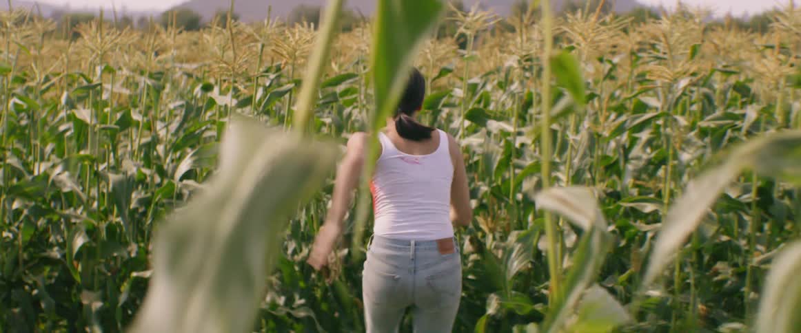 A woman with blood on her shirt running through a cornfield staring behind her in fear