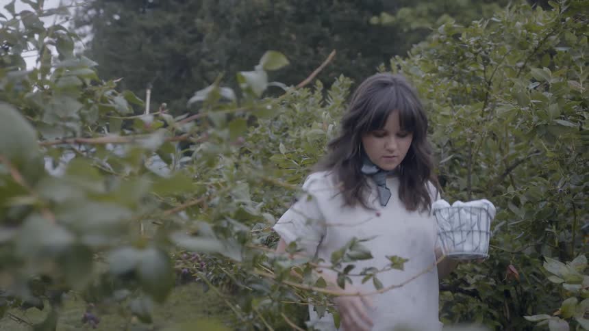 A woman picks berries off of bushes and puts them in a container