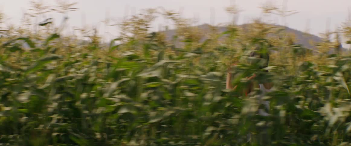 An scared and injured woman runs through a corn field
