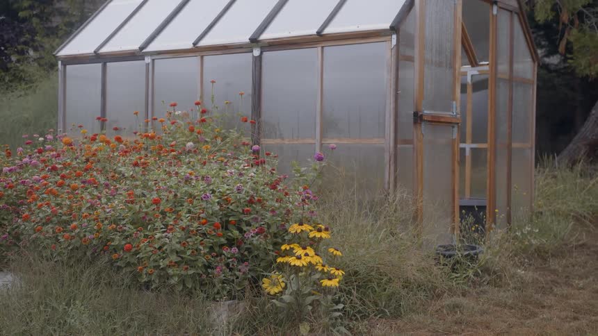 Outside of greenhouse with translucent walls