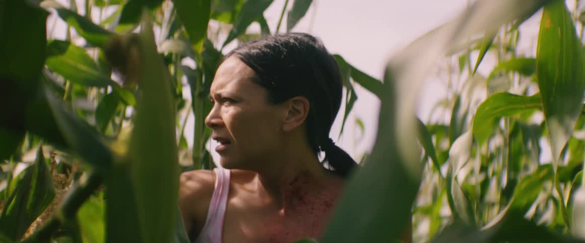 A bloody woman hiding in a corn field