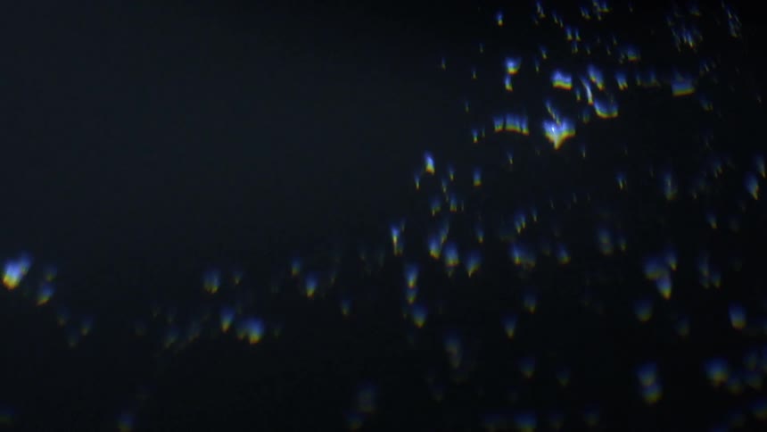 The light is reflecting on the dark area