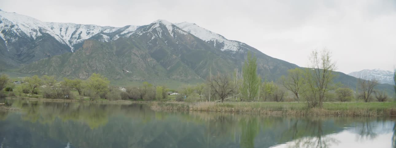 Birds flying over a lake surrounded by trees and snow capped mountains
