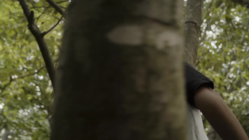 Little boy climbing up a tree