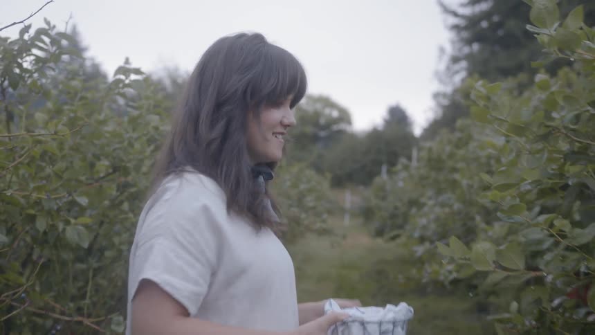 Woman walking through lines of trees picking something off the branches