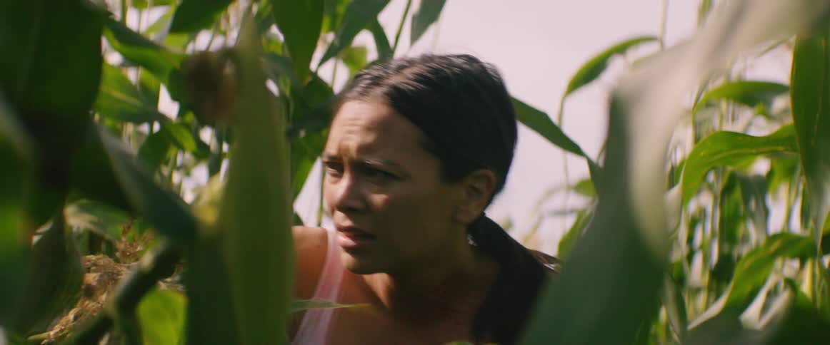 Woman stands among corn stalks looking frightened