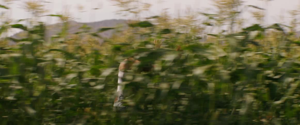 Men Chasing Woman In Small Town