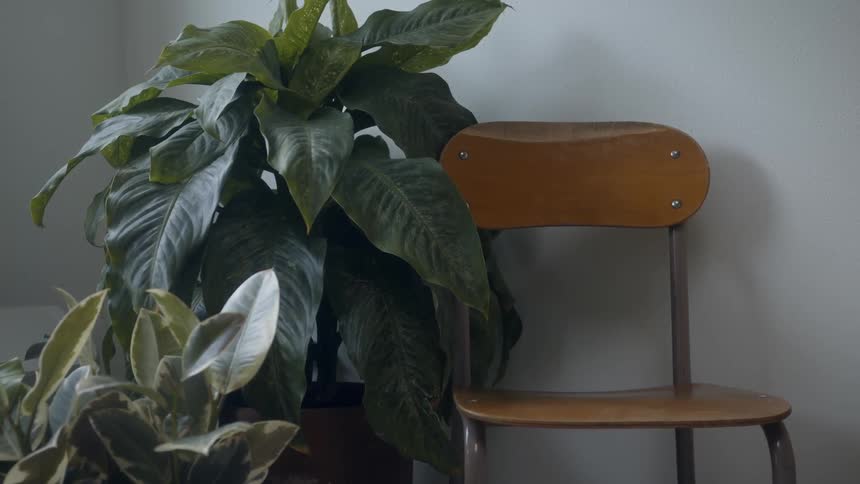 Couple Having Brunch At Home