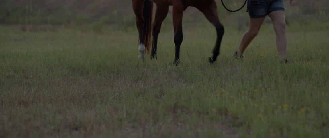A woman walks her horse through the grass