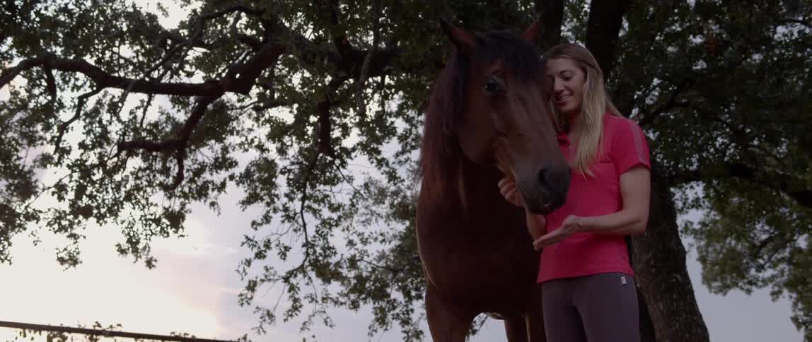 Woman pets and bonds with horse