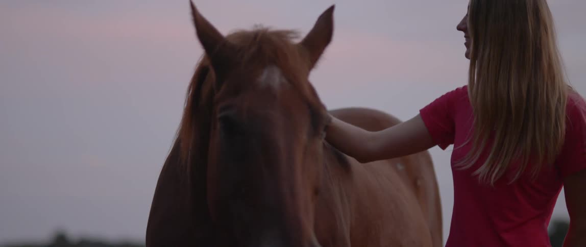 A woman brushes her horse on a cloudy day
