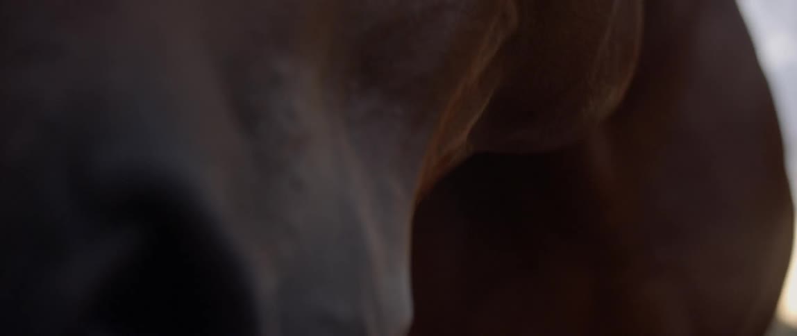 The horse looks around by the woman