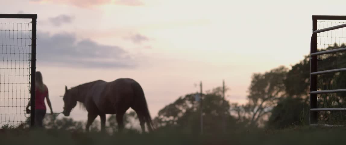 A woman leads a horse through the grass at sunset