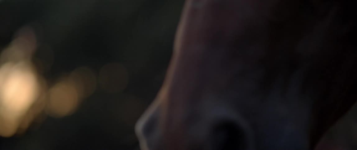 A horse staring in the distance on a dark day