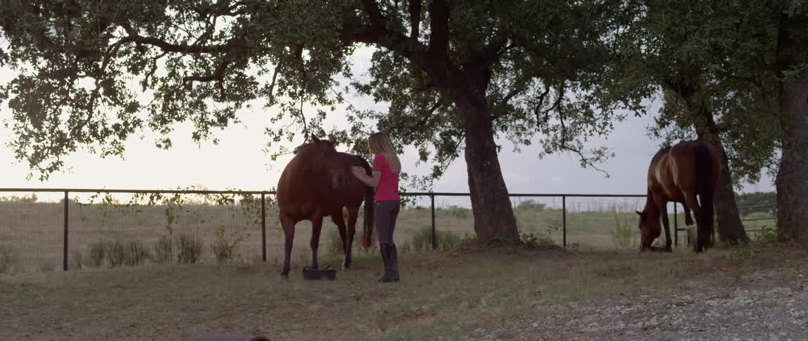 Woman Spending Time With Horses