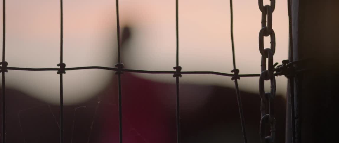 A woman shakes her hair outside near a metal fence at sunset