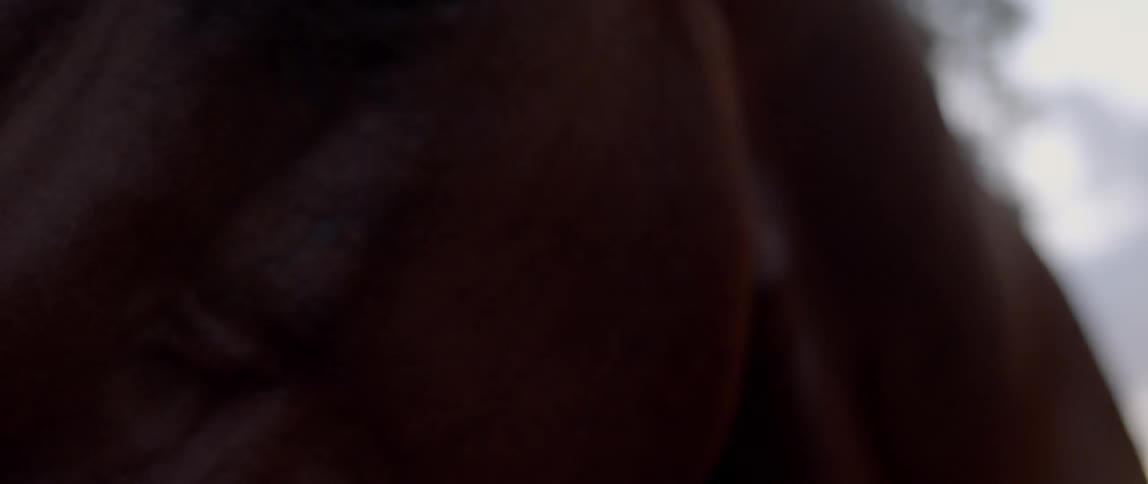 A horse sniffing the camera while a woman watches on