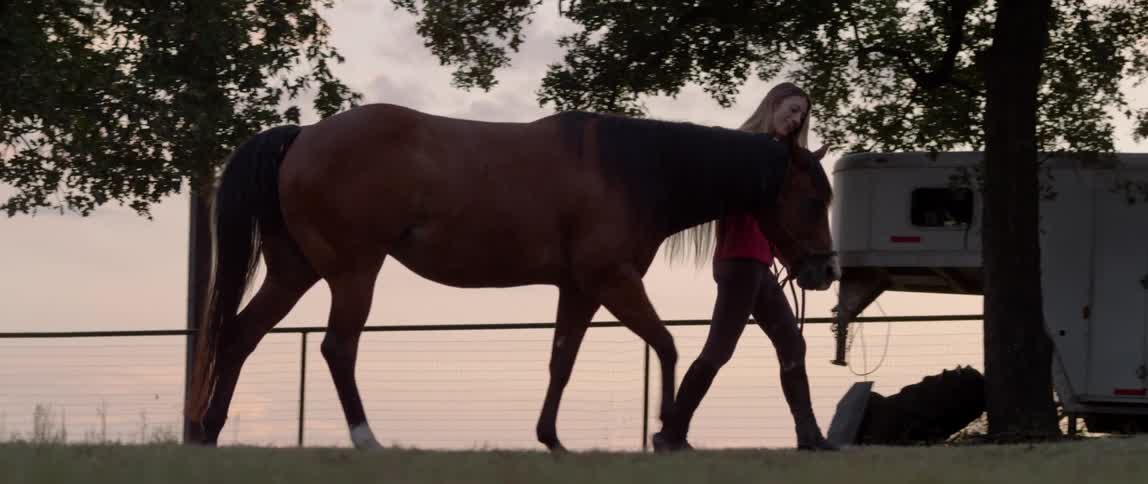 A woman walking a horse near a trailer