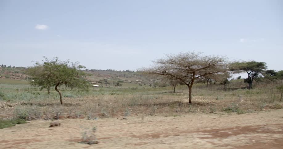 Driving down a dirt road next to a field with trees in it