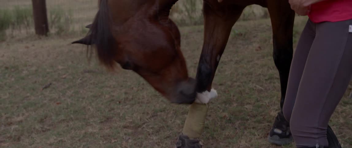 A smiling blond woman pets a horse