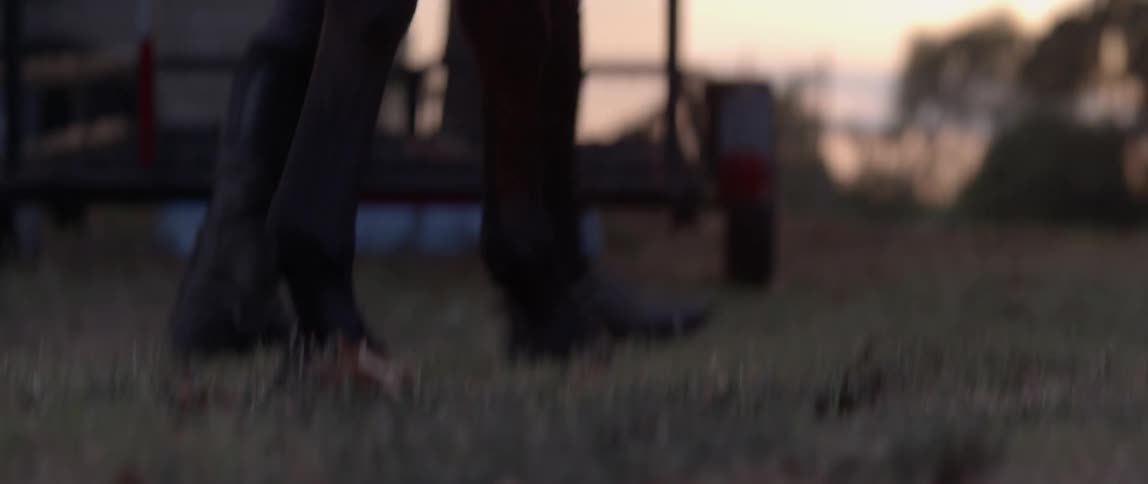 A woman tends to a horse on a ranch at sunset