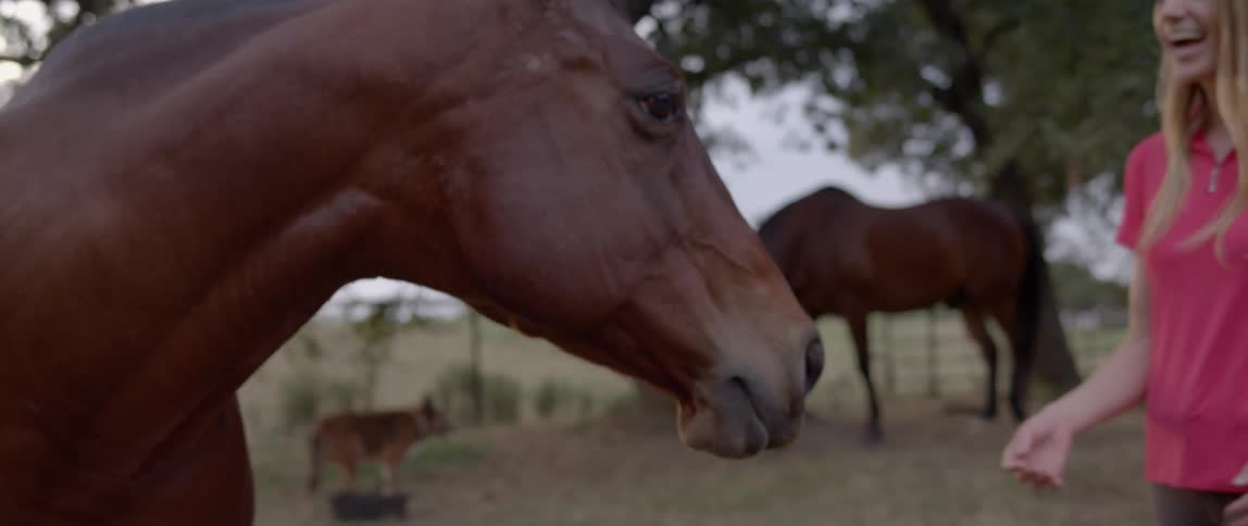 A woman walking up to a horse