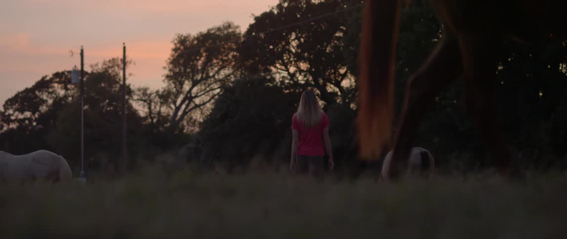 A woman is outside by horses