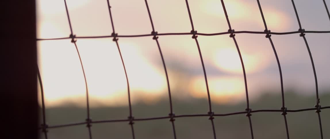 Sun shines behind a wire fence