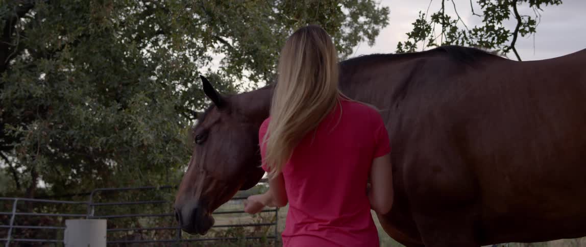 A horse shakes its head as a woman reaches out to pet it