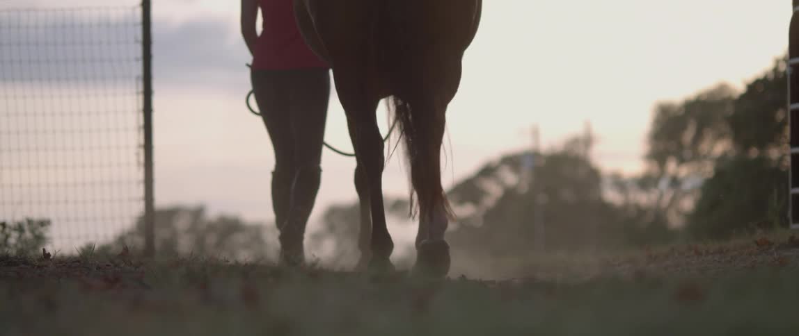 A woman walks with her horse on the farm
