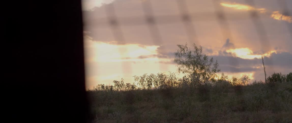 Clouds float above rural trees and grass at sunset