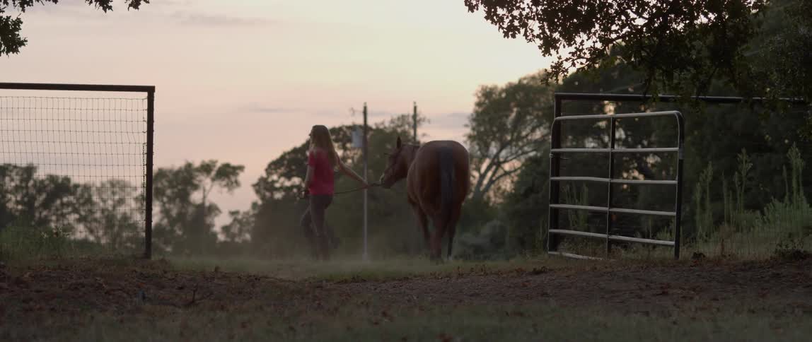 A woman leads a horse on a ranch at sunset